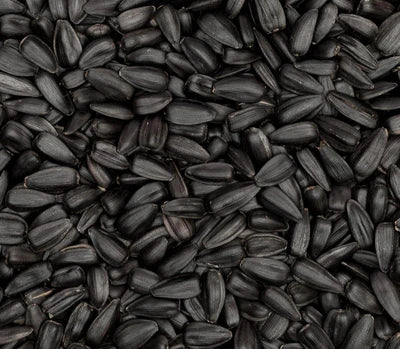 Black Seed Oil