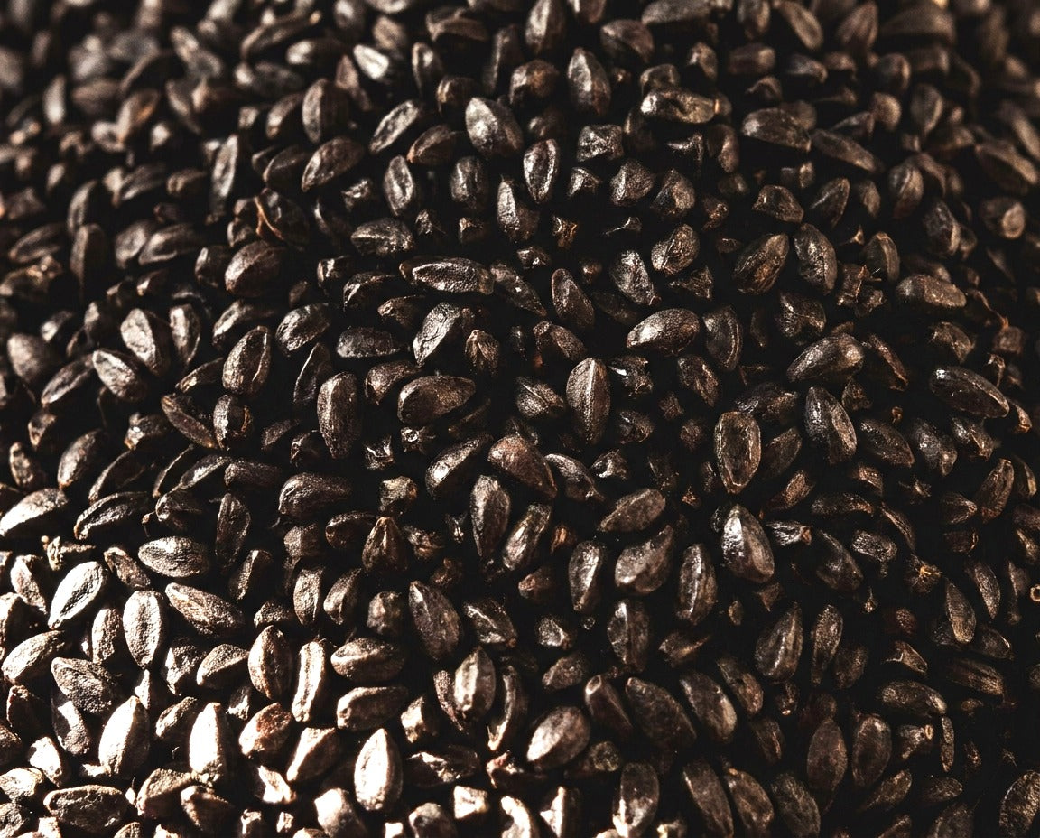 Black Seed Oil